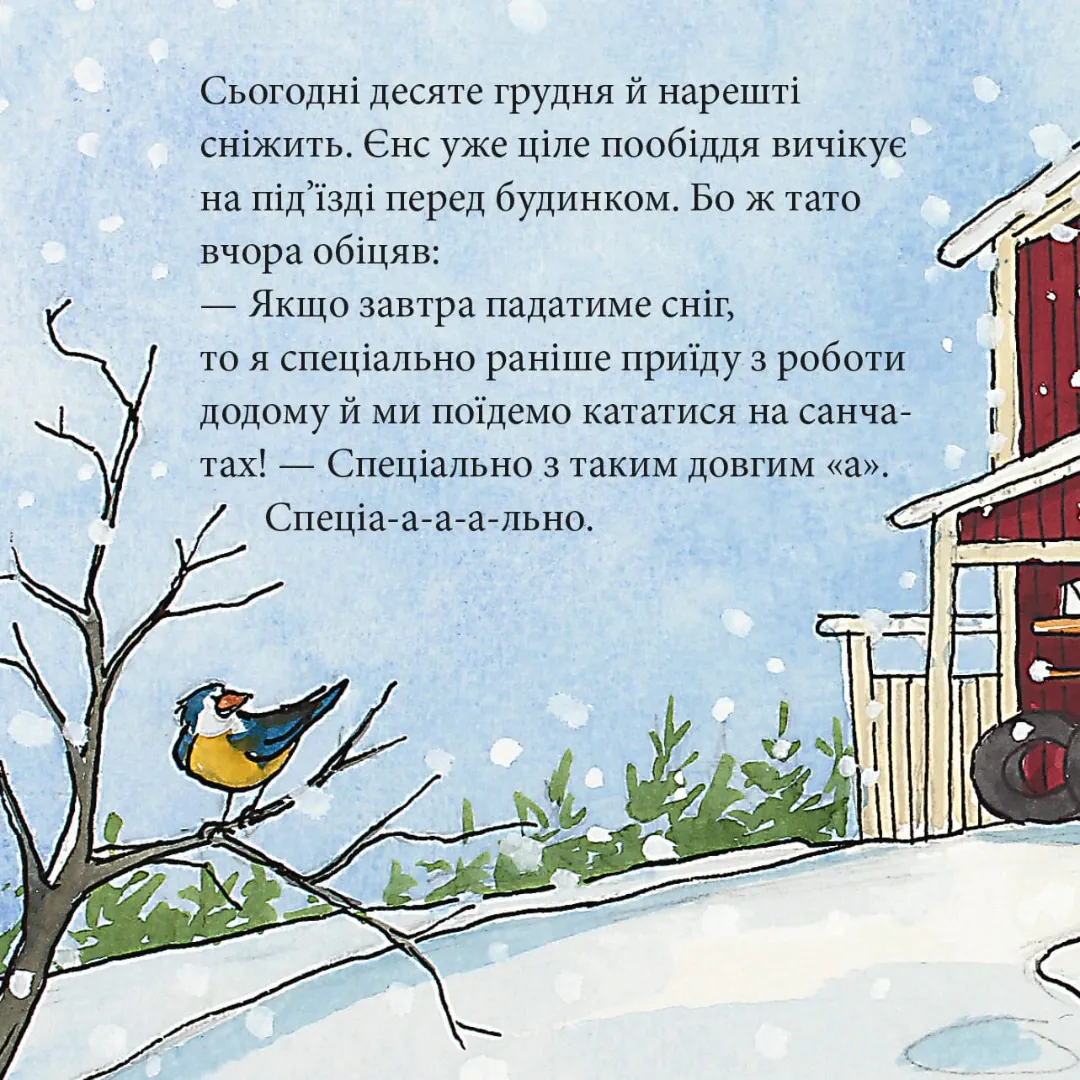 Татусева обіцянка — Нільс Шмідт, фото 4