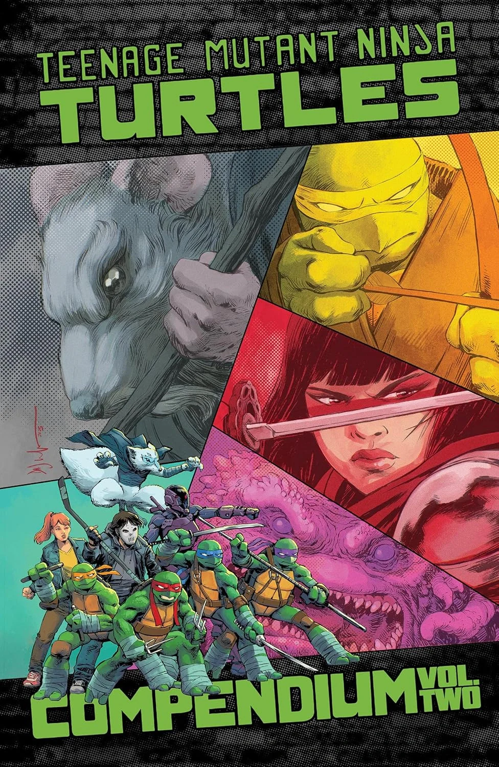 Teenage Mutant Ninja Turtles. Ongoing Compendium. Vol. 2