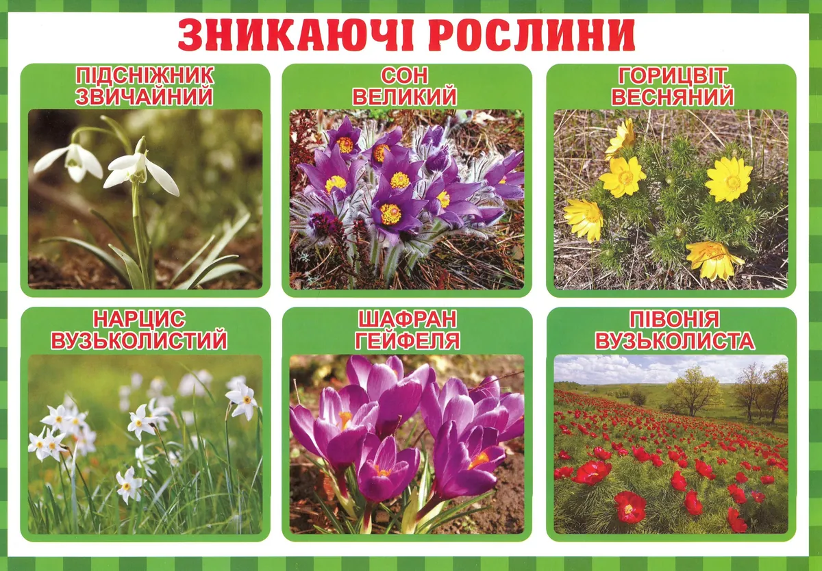 Тека вчителя. Між минулим та майбутнім (жовтень). 3 клас, фото 3
