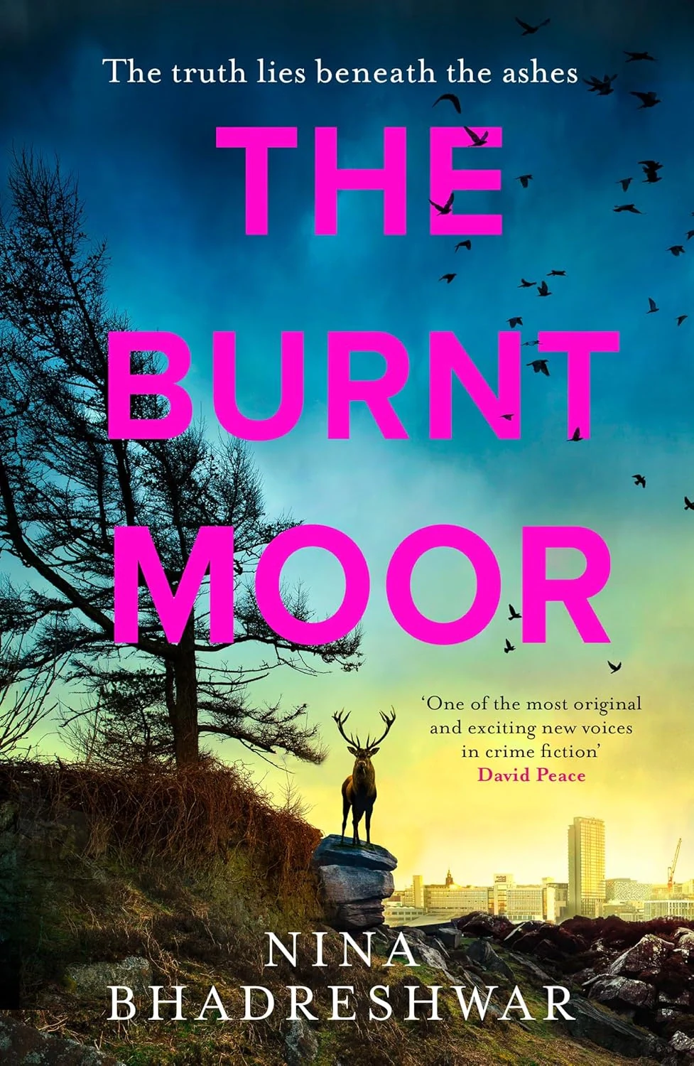 The Burnt Moor. Diana Walker. Book 2