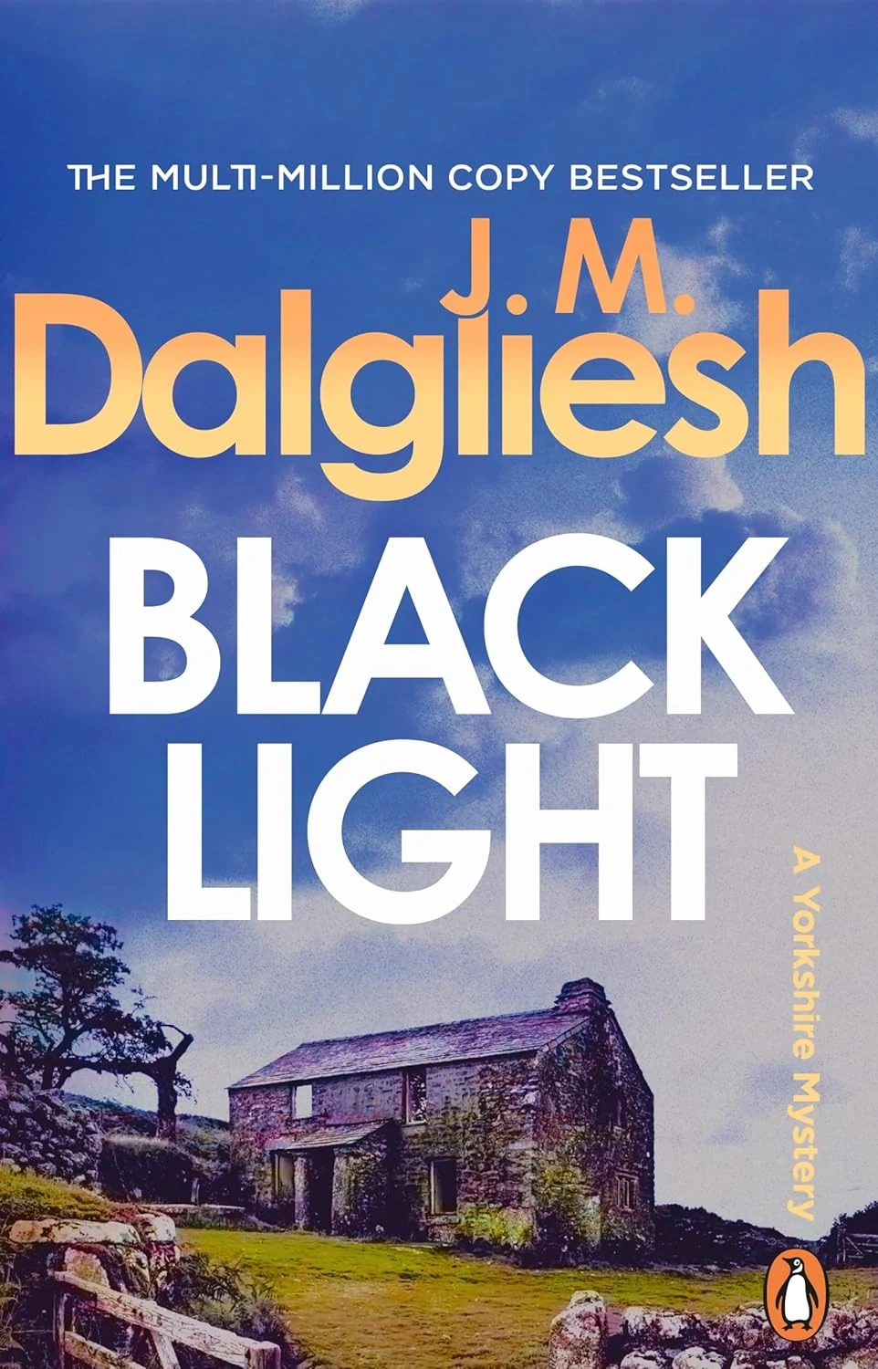 The Dark Yorkshire Crime Thriller. Blacklight. Book 2