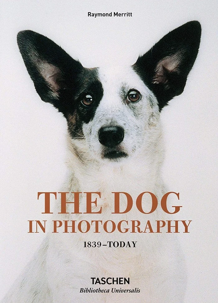The Dog in Photography. 1839-Today