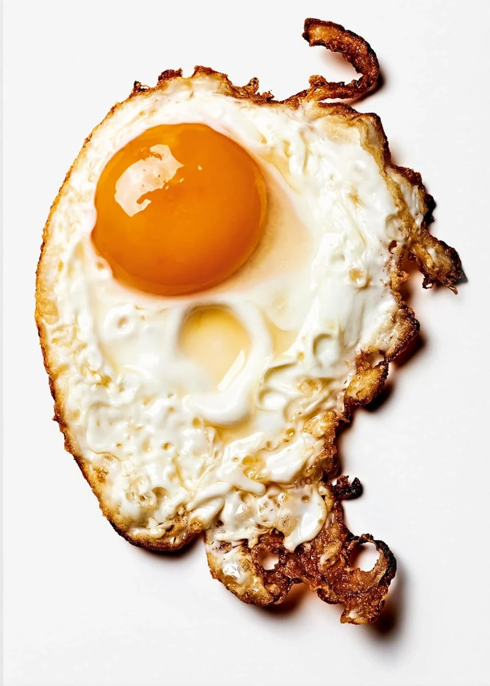 The Gourmand's Egg. A Collection of Stories and Recipes,