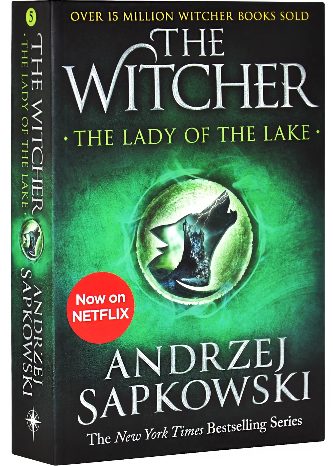 The Lady of the Lake. The Witcher. Book 5