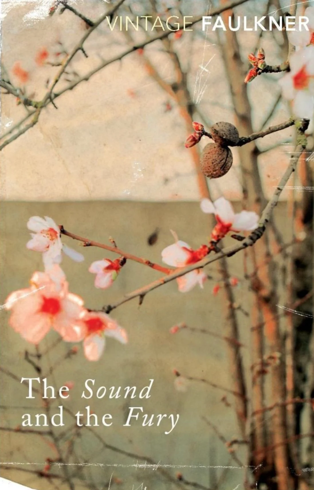 The sound and the fury