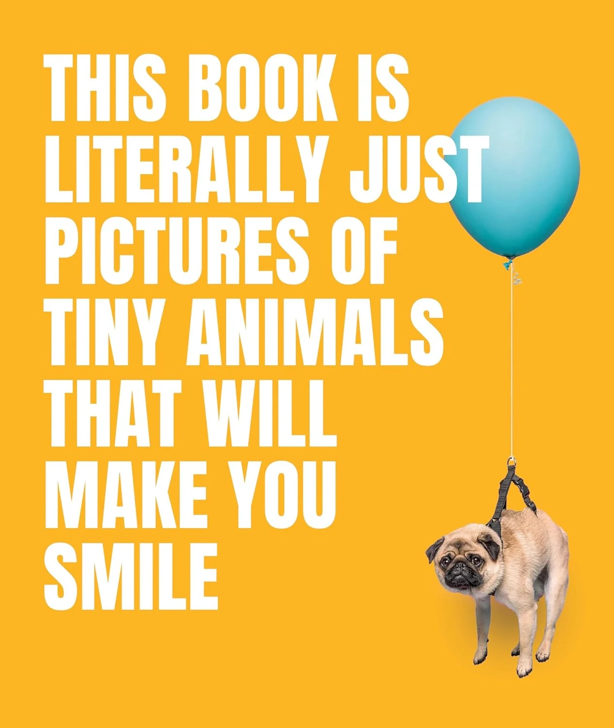 This Book Is Literally Just Pictures of Tiny Animals That Will Make You Smile,