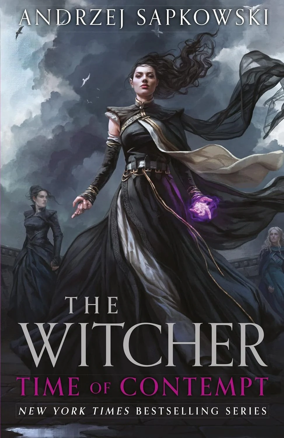 Time of Contempt. The Witcher. Book 4. Collector's Hardback Edition