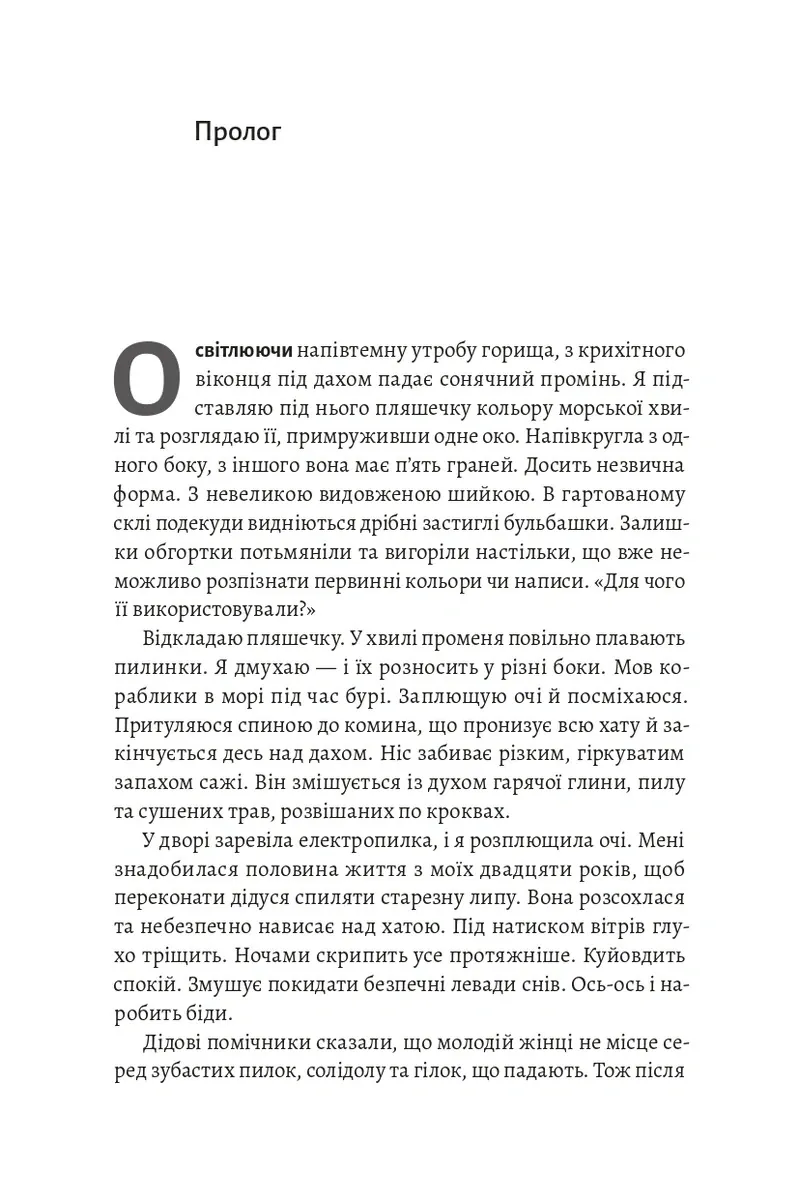 Тінь Малої Ведмедиці. Степовий роман — Дарія Тепла, фото 6