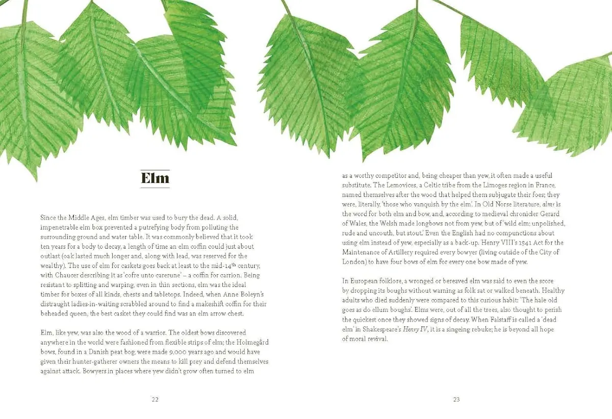 Tree Lore: The Myths, Folklore and Meaning of Trees — Саллі Култхард, фото 5
