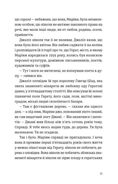 Тисяча осяйних сонць — Халед Госсейні, фото 6