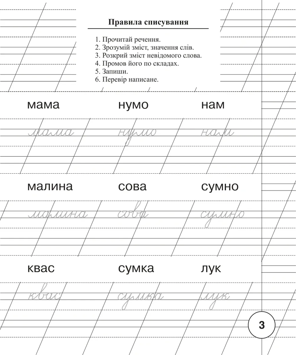 Українська мова. 1 клас. Зошит для списування — Тетяна Будна, фото 3