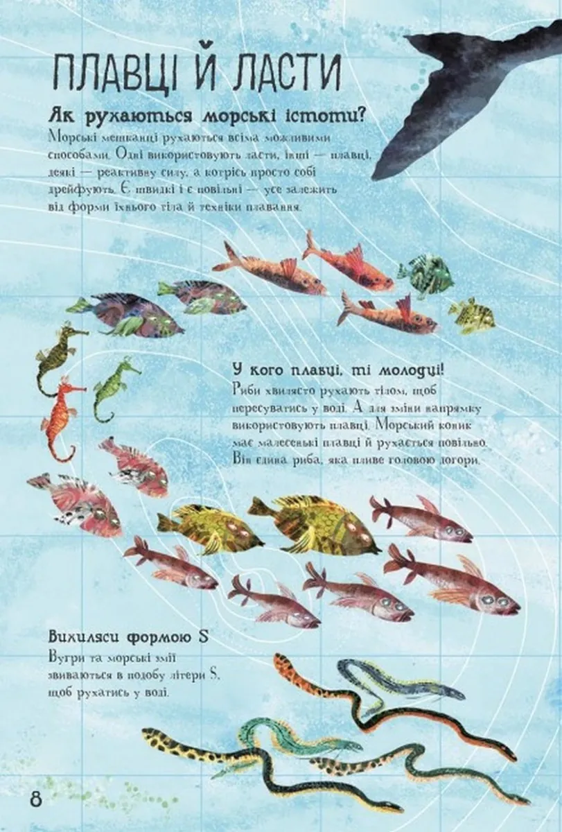Велика книга морів — Юваль Зоммер, фото 6