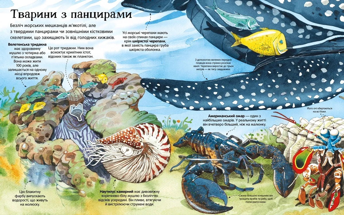 Велика книга морських мешканців — Мінна Лейсі, фото 4