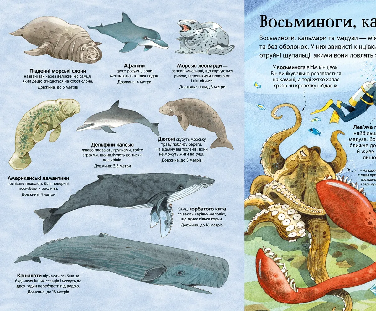 Велика книга морських мешканців — Мінна Лейсі, фото 6