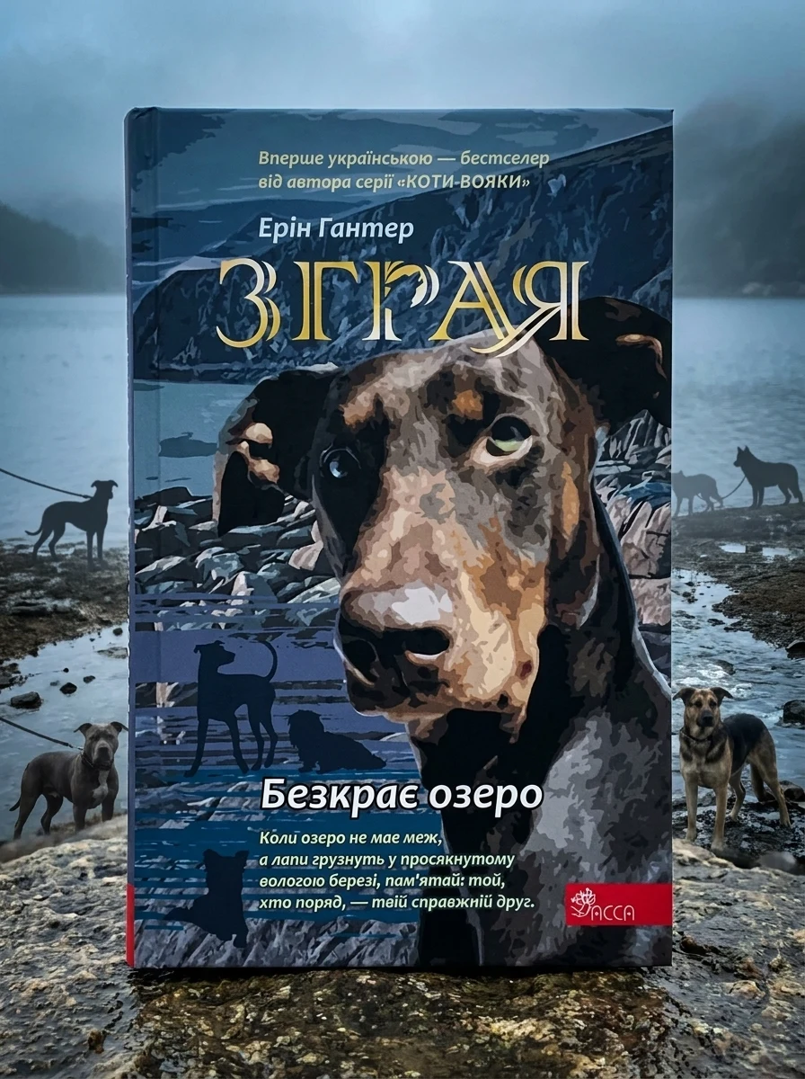 Безкрає озеро | купити книгу онлайн