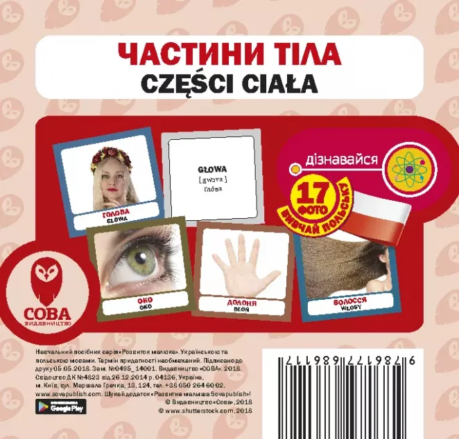 Частини тіла. 17 карток польською — Сова