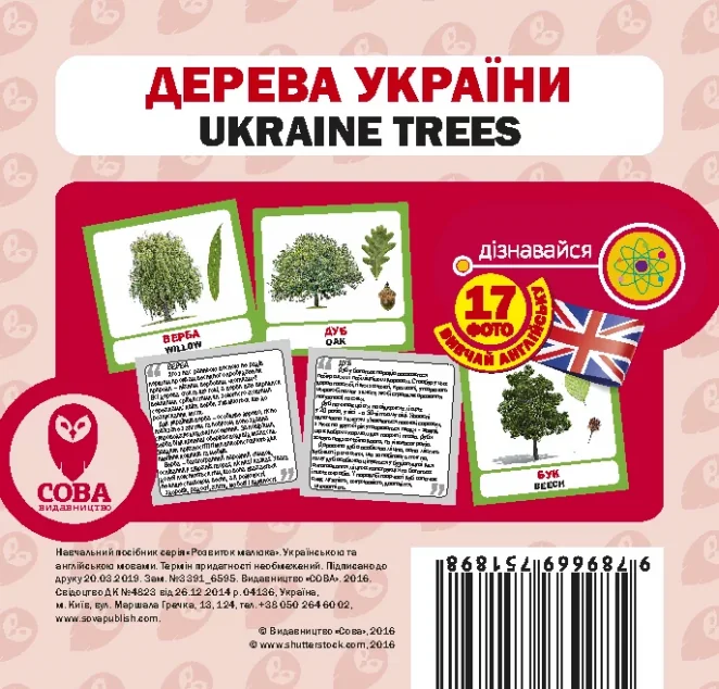 Дерева України — Сова