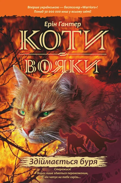 Здіймається буря — Асса