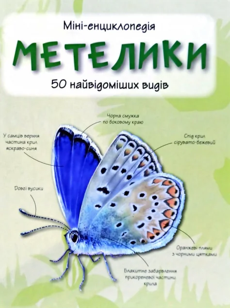 Метелики. 50 найвідоміших видів. Міні-енциклопедія — Камілла де ла Бедойєр