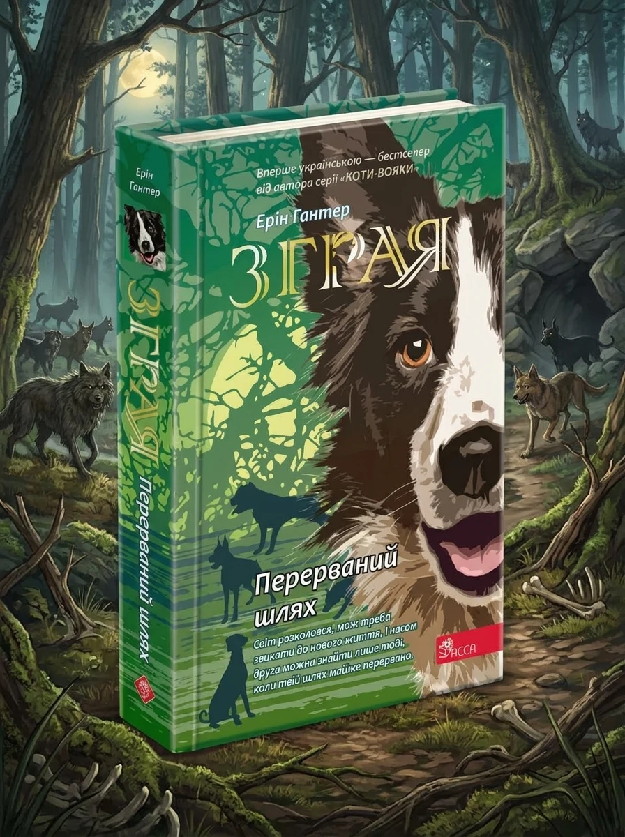 Перерваний шлях — Підліткове фентезі