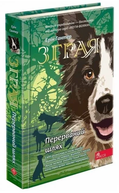 Перерваний шлях — Підліткове фентезі