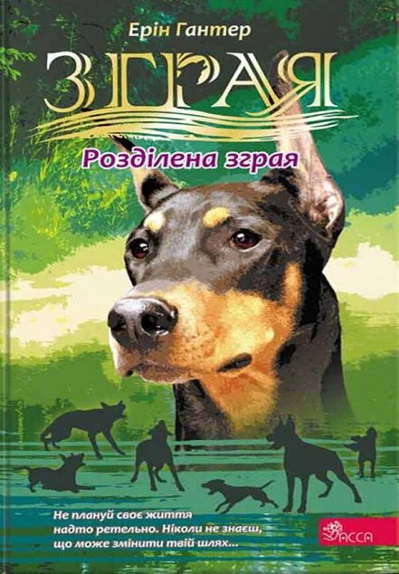 Розділена зграя