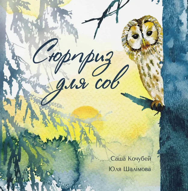 Сюрприз для сов — Розвивальні книги