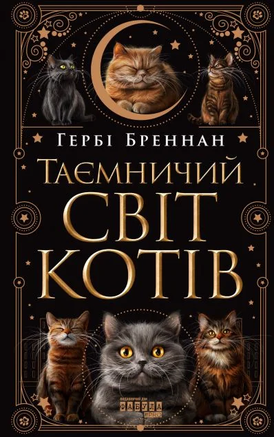Таємничий світ котів — Фабула