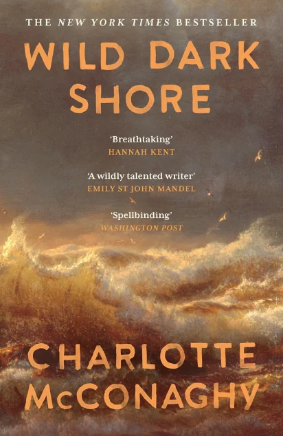 Wild Dark Shore — Художня література іноземними мовами