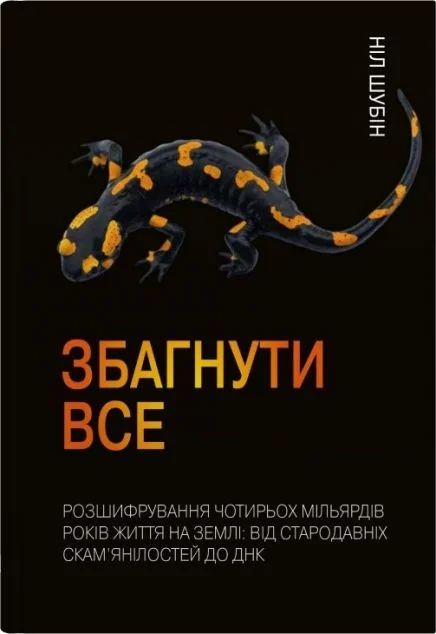 Збагнути все