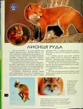 4D Книга Тварини України, фото 4