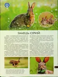 4D Книга Тварини України, фото 5