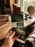 Dragons by Kerem Beyit Set of 3 Mini Notebooks, фото 2