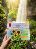 Експрес-перевірка. Я досліджую світ. 1 клас. Відривні картки до підручника І. Грущинської — Ольга Муренець, фото 2