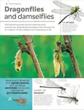 Eyewitness Encyclopedia of Animals, фото 4