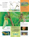 Eyewitness Encyclopedia of Animals, фото 5