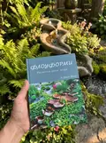 Флоуформи. Ритмічна сила  води — А. Джон Вілкс, фото 2