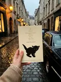 If Cats Disappeared From The World — Ґенкі Кавамура, фото 2