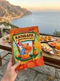 Капібара з гарбузового бару — Олефір Юлія, фото 2