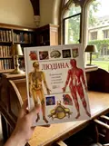 Людина. Навчальний атлас з анатоміі і фізіологіі — Сміт Е., фото 2