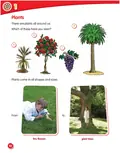 Macmillan Science 2 Student's Book & eBook — Девід Гловер, фото 4