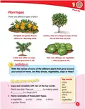 Macmillan Science 2 Student's Book & eBook — Девід Гловер, фото 5