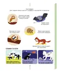 На фермі. Енциклопедія для допитливих — Сесіль Юґла, фото 5