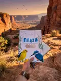 Птахи України. Книга-розмальовка — Ольга Марс, фото 2