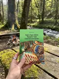 Шлях Предків. Таро Словянських Богів. З комплектом карт до книги — Олівія Стоун, фото 2
