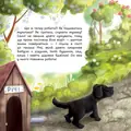 Таємниці дідусевого саду — Дана Безкрай, фото 6