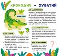 Тварини світу. Моя перша енциклопедія (+ наліпки) — Світлана Сіліч, фото 4