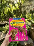 Велика книжка. Дикі Тварини — Олег Завʼязкін, фото 2