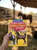 Велика книжка. Коні і поні — Олег Завʼязкін, фото 2