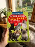 Велика книжка. Кошенята — Олег Завʼязкін, фото 2